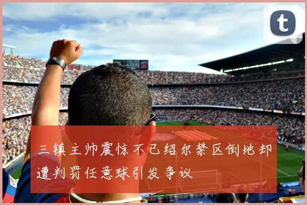 三镇主帅震惊不已绍尔禁区倒地却遭判罚任意球引发争议