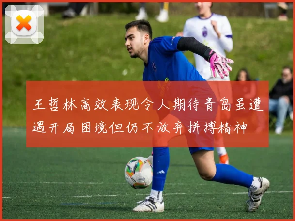 王哲林高效表现令人期待青岛虽遭遇开局困境但仍不放弃拼搏精神